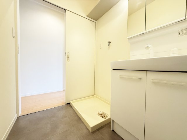 シャーメゾン中久万の洗面所