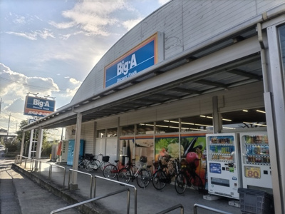 ビッグ・エー 越谷東大沢店まで1200ｍ