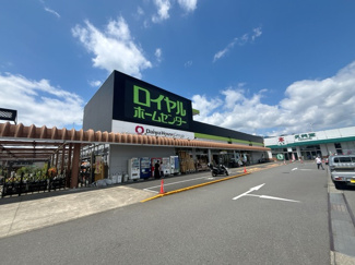 ロイヤルホームセンター伊勢原店まで約700m