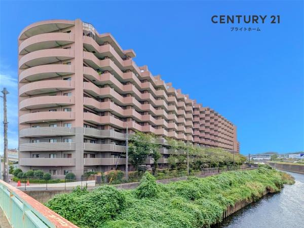 ダイアパレスワンダースケープ