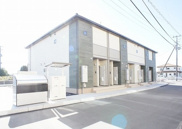 グリーン・ナミエの画像