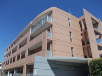 アルカディアの画像