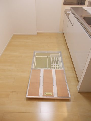 ラフレシールⅡのその他