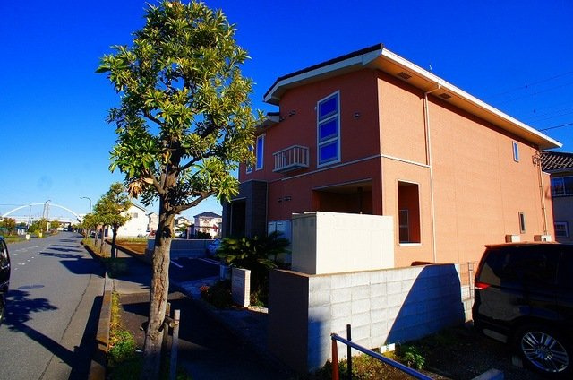 リナ　プルメリア