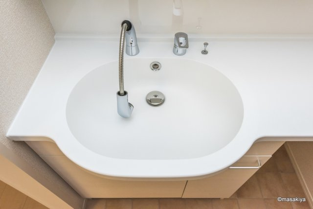 グリーンヒルズＳ・Ｔの洗面所