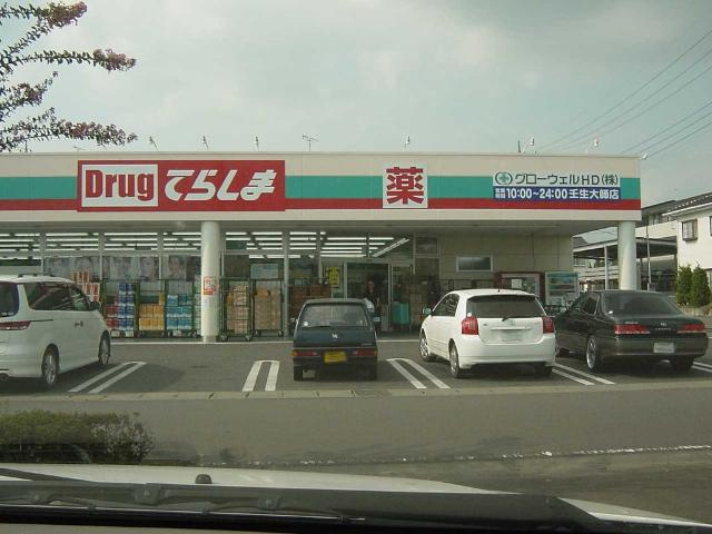 パークサイドヴィラ御里　Ａ棟の周辺|ドラッグてらしま壬生大師店（ドラッグストア）まで739ｍ