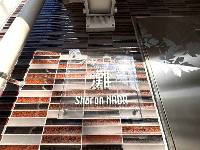 シャロン灘のその他