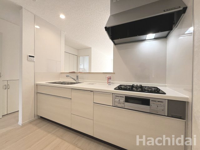 高浜市稗田町第7　新築分譲住宅＜3号棟＞の玄関
