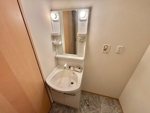プレミア南条B棟の独立洗面台