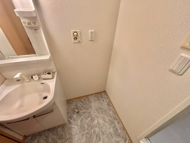 プレミア南条B棟の洗面所