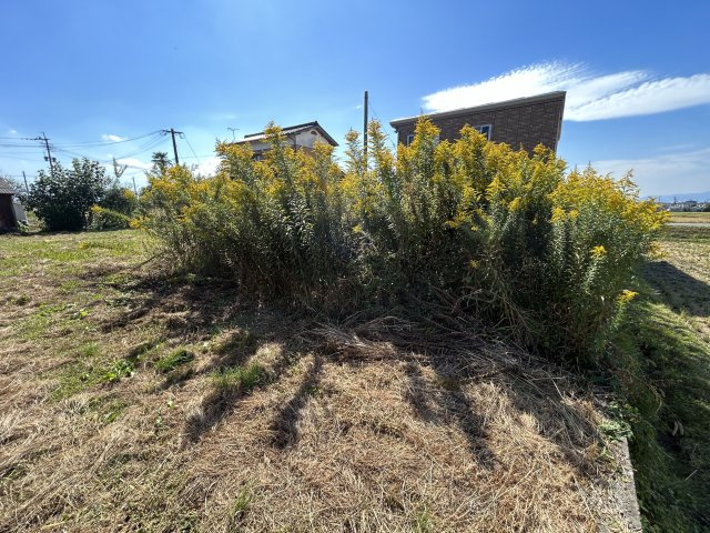 朝倉郡筑前町森山　売り土地の外観