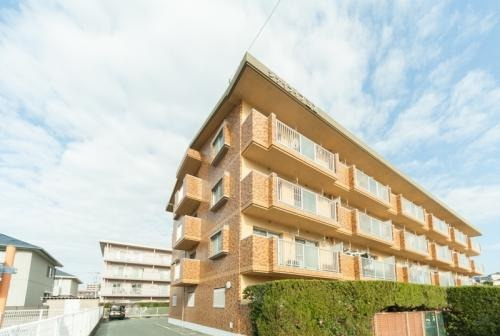 福岡市東区三苫５丁目の賃貸マンションの外観|外観写真