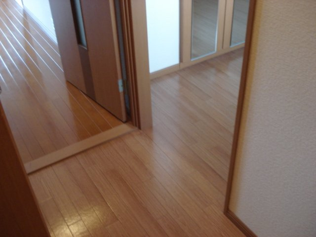 ロイヤルヒルズ青山の内装|廊下