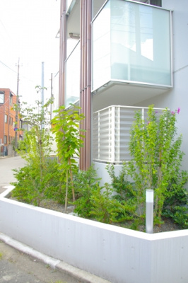 【その他】 | フェリークス院内 | １階の植栽もかわいい♪