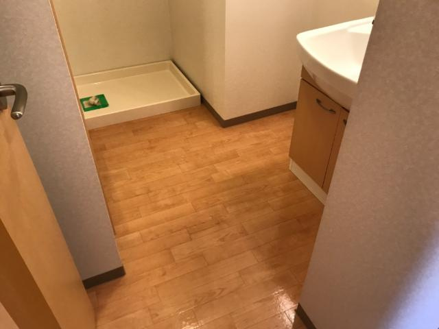 サンシャイン１号館の洗面所|洗面