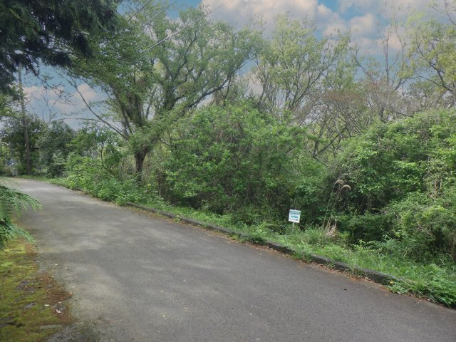 伊豆エメラルドタウン㉚の前面道路含む現地写真