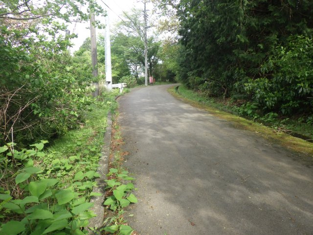 伊豆エメラルドタウン㉚の前面道路含む現地写真