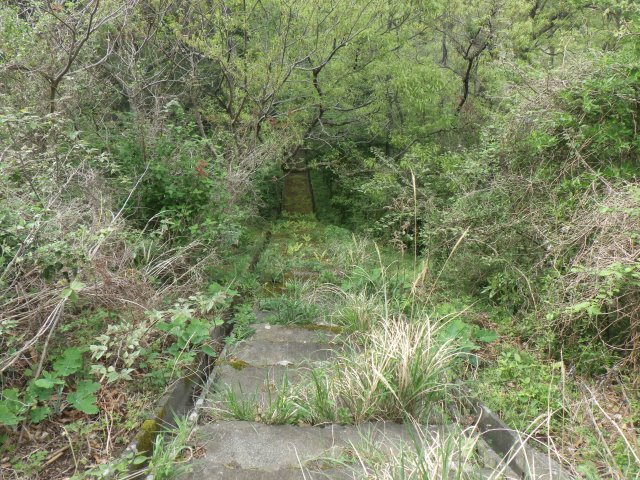 伊豆エメラルドタウン㉚のその他