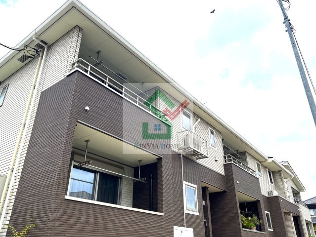 エヴァーグリーンオーク