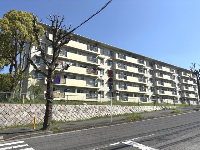 【外観】 | 金剛第3住宅２２４棟　２階