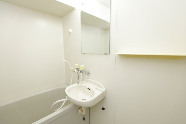 メゾントルチュベルトの洗面所