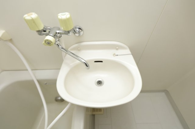 メゾントルチュベルトの洗面所