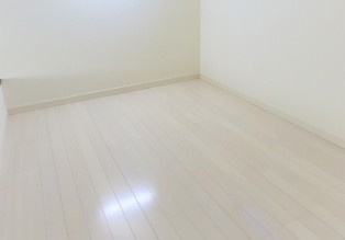Ｔ＆Ｎのその他