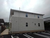 プラム　スターの画像