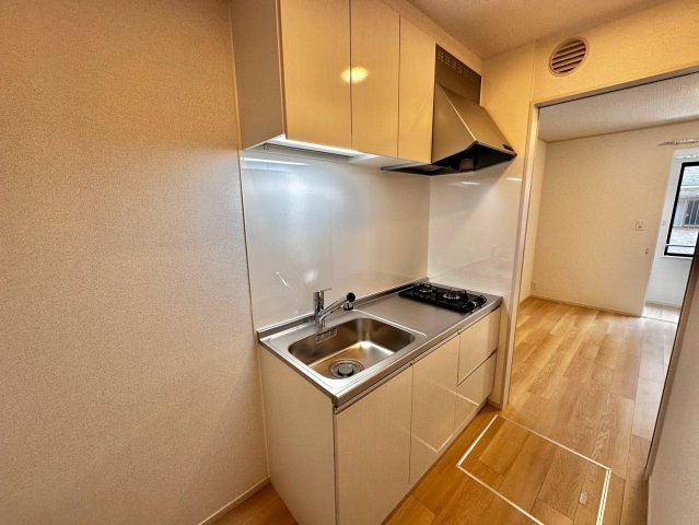 リバーテラスⅡのキッチン