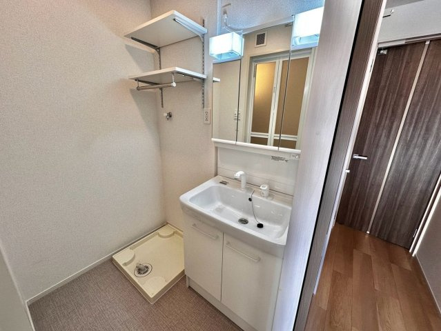 リバーテラスⅡの洗面所