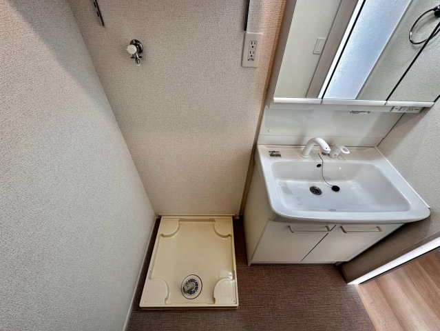 リバーテラスⅡの洗面所