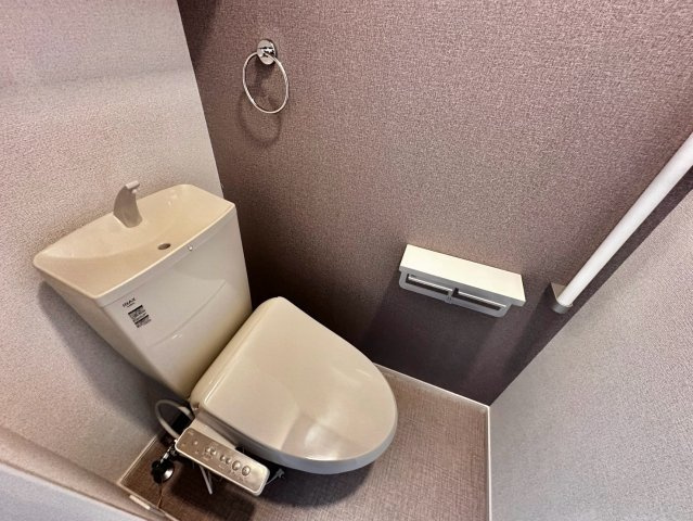 リバーテラスⅡのトイレ