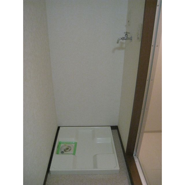 アムール 初雁のその他