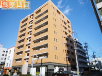 丹下キアーロの画像