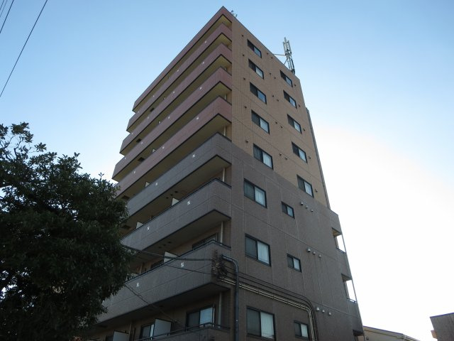 ヤングウッズ
