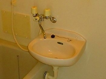 サンフレッチェ南条Bの洗面所