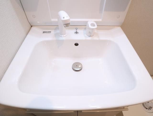 エクセラン大宮の洗面所|☆このお部屋は仲介手数料0.55ヶ月☆