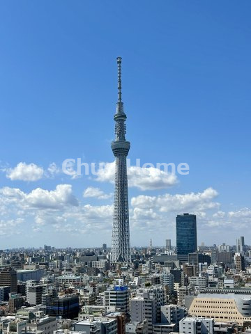 ブリリアタワー東京の展望|スカイツリーを一望