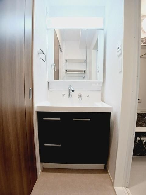 コリーヌ・ブリズⅢの洗面所