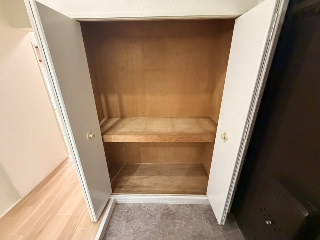 カーサ南茨木の収納|こまごまとしたものを収納できそうですね