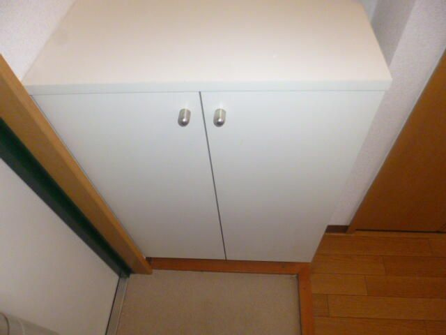 エクセルプラザの玄関|※同建物別部屋