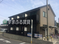 アンプルールリーブルキニーネSUNの画像