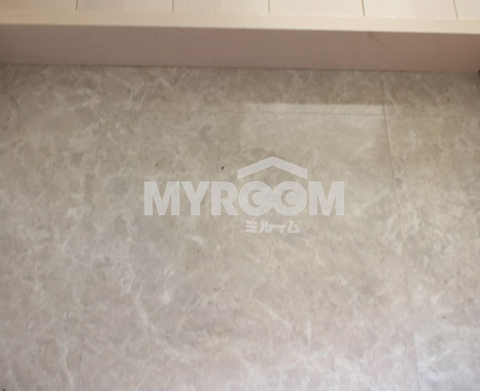 ハーモニーテラス成田東Ⅲの玄関|玄関（同一仕様写真）