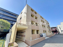 ルミソラーレの画像