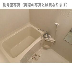 GIIワカテンザンの浴室
