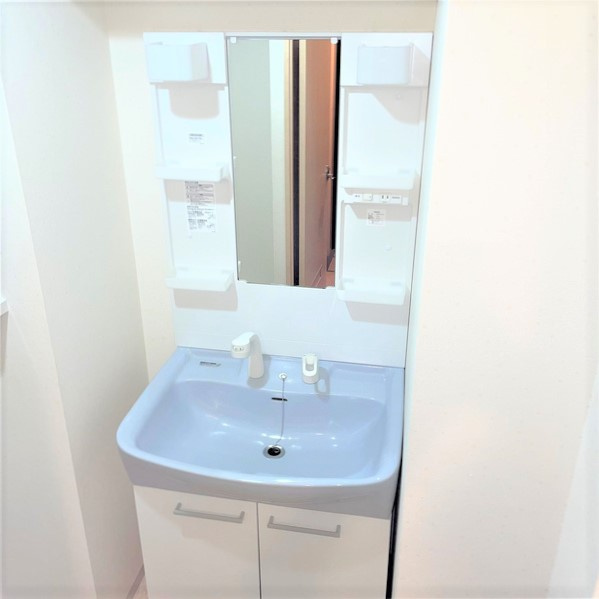 レディアントイワイダの洗面所