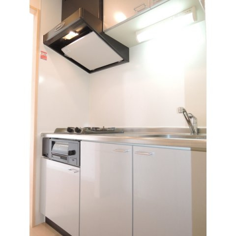 レディアントイワイダのキッチン