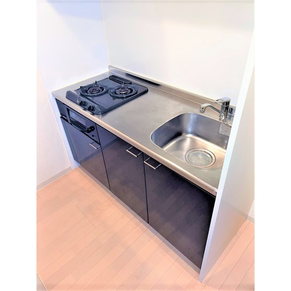 レディアントイワイダのキッチン