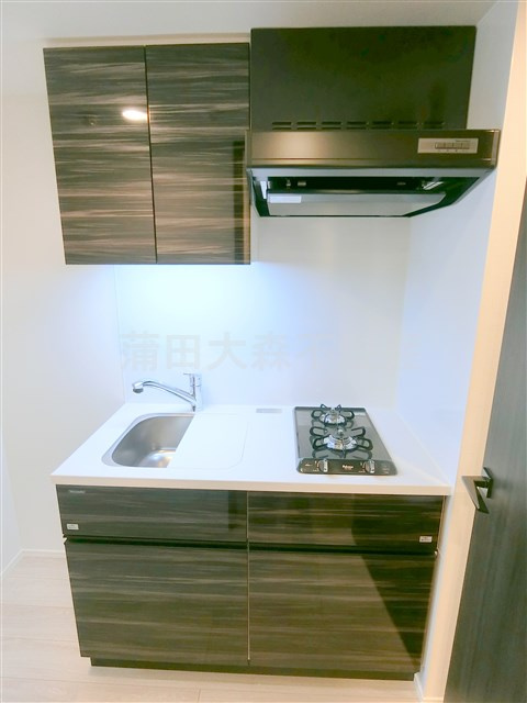 ラクラス蒲田Ⅱのキッチン|2口ガスコンロシステムキッチン