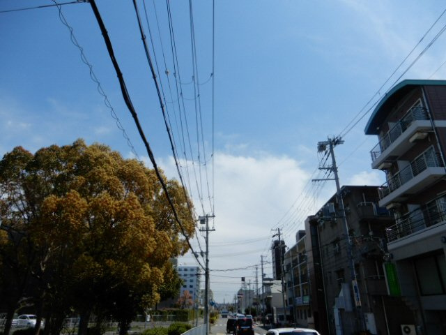サントロペの展望